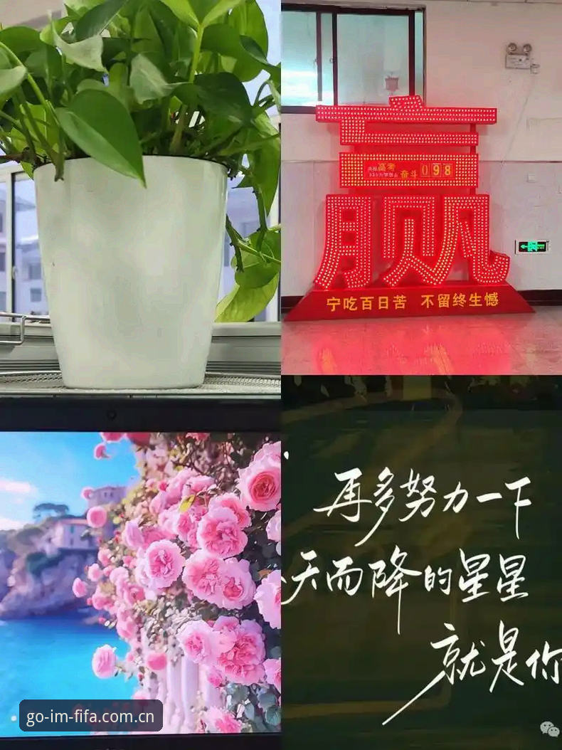 揭秘IM APP下载背后的真相：一个坚持要保留足球仪式感的玩家之所见